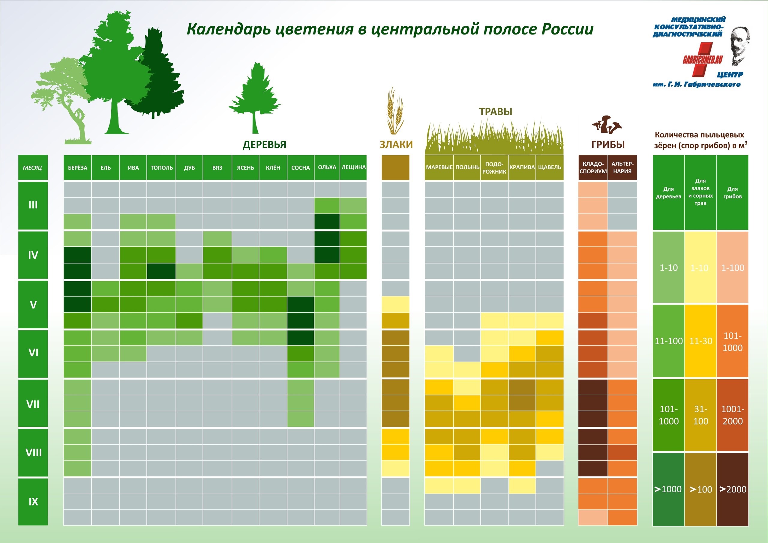 Календарь цветения в центральной полосе России
